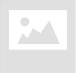 國道黑大線天臺橋改造工程勝利通車